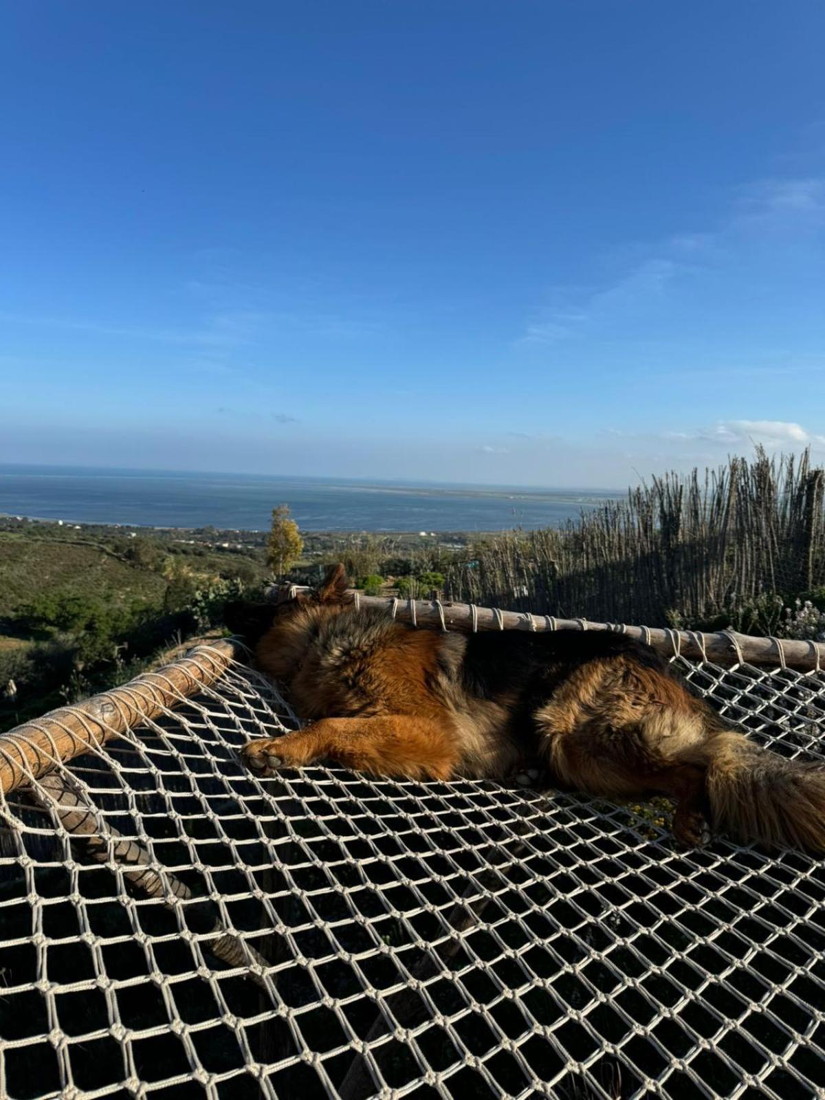 מלון Ra's al Jabal Ghar El Melh Outdoors מראה חיצוני תמונה