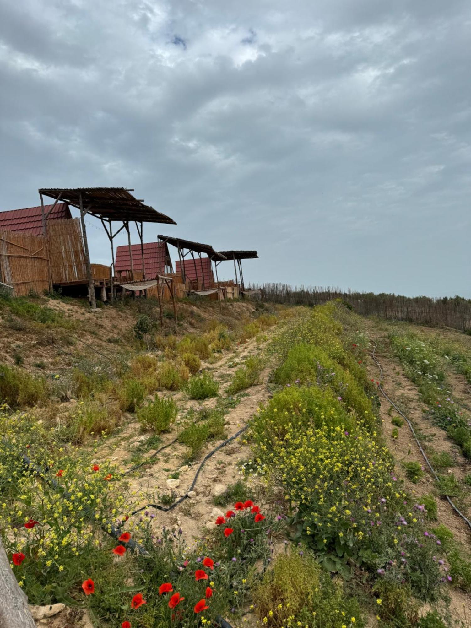 מלון Ra's al Jabal Ghar El Melh Outdoors מראה חיצוני תמונה